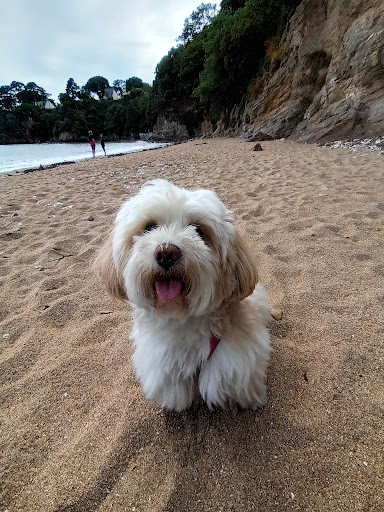 Plage de Trébézy - Thumbnail