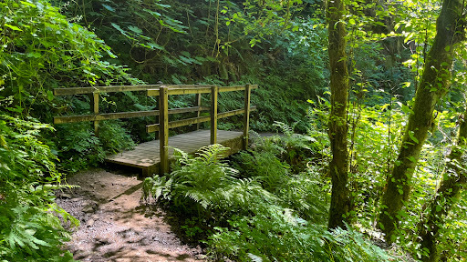 Upper Latourell Falls - Visual