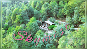 Photo n°20 de Skymist maison d'hôtes à Biert (Sauna)