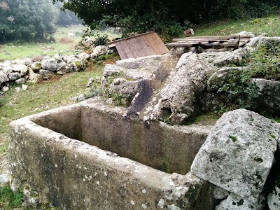 Photos of Stadio Comunale "Simonetta Lamberti"