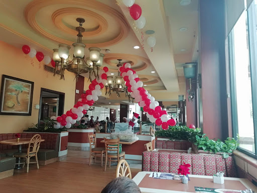 Vips Tapachula - Visual