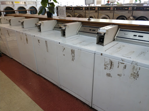 Clearlake Laundry - Visual