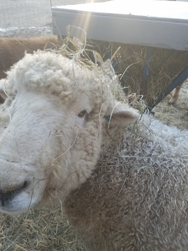 Tripledale Farm, LLC - Thumbnail