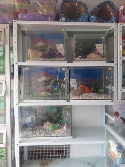 Photos of El Gato Pescador