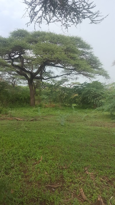 Photos of Aledeghi Wildlife Reserve
