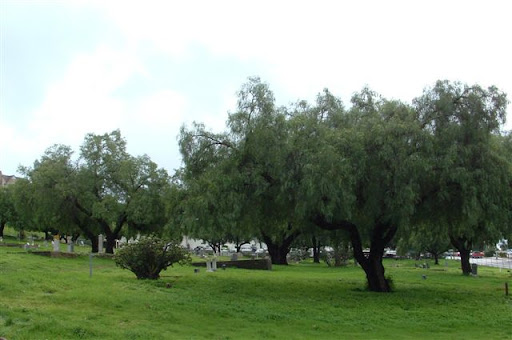 Odd Fellows Community Cemetery - Thumbnail