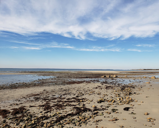 Woodneck Beach - Thumbnail