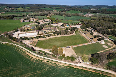 Alis Residència Guarderia Canina