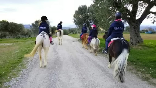 DELLE ROSE EQUESTRIAN ACADEMY Gallery - Italy
