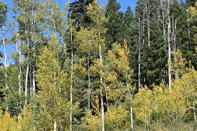 Holy Ghost Campground