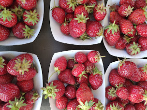 Photo n°4 de GAEC Le Potager des Embruns à Guissény (Ferme bio)