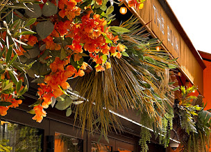 Photo n°5 de The Bush à Saint-Maur-des-Fossés (Restaurant servant du couscous)