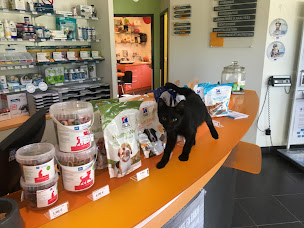 Photo n°2 de Clinique Vétérinaire des Lauriers à Montastruc-la-Conseillère (Clinique vétérinaire)