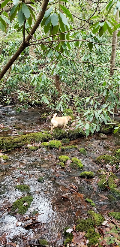 Bowers Creek Trail