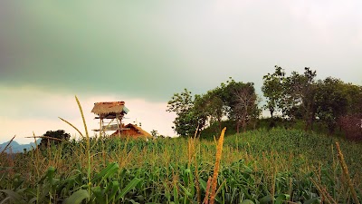 Photos of Gunung Tirem