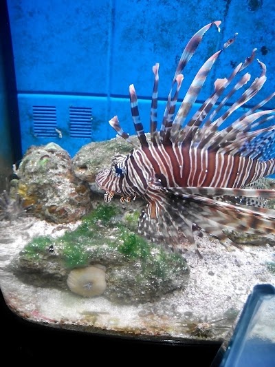 Photos of ACUARIO MUNDO MASCOTAS