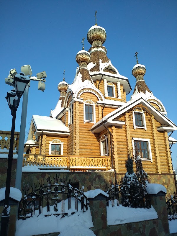 Вознесенский храм воронеж