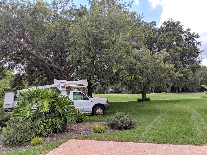 Greenway Tree Services Sarasota