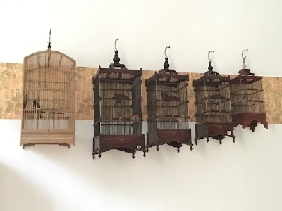 Photos of ZiadaLark