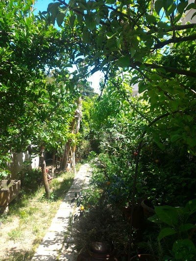 Photos of Bed and Breakfast Mare e Sole Brindisi