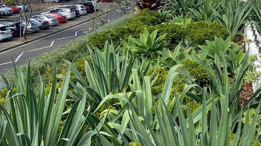 Ozone Landscapes & Maintenance