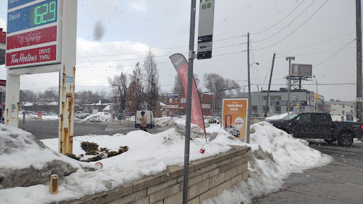 Yonge / Steeles