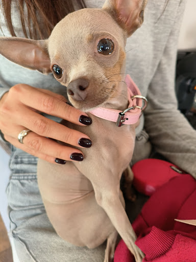 Irinis Nails beauty space - Thumbnail