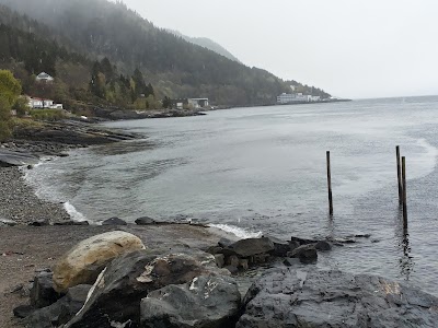 Photos of Visit Trondheim