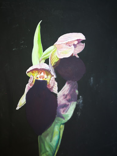 Victoria Art Studio - Thumbnail