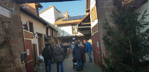 Dorfgemeinschaftshaus Bobenheim am Berg - Thumbnail