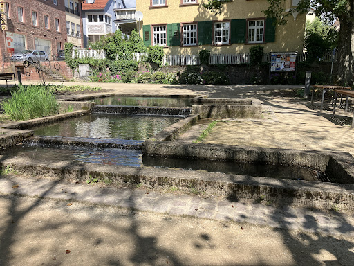 Teichgarten - Visual