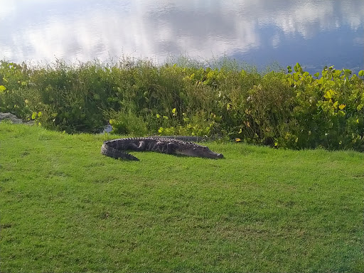 Bonita Bay Club Naples - Thumbnail