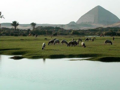 Photos of The position of Dahshur facility
