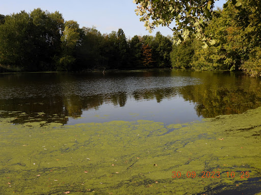 Karthäuser Silbersee - Thumbnail