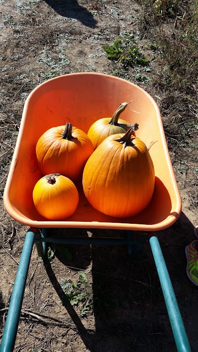 Photos of Uncle John's Cider Mill