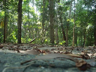Photos of Bandaranayake Wana Uyana