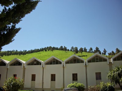 Photos of Piscine Thermale De Moulay Yaakoub