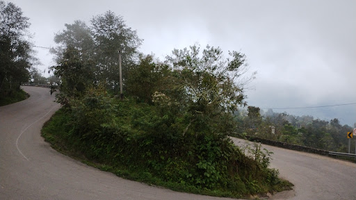 La Curva o el Mirador - Thumbnail