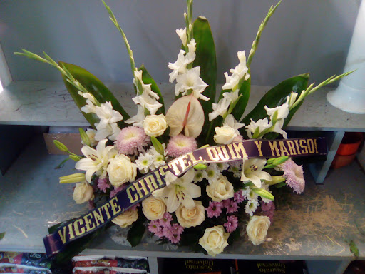 Floristeria La Pinada - Thumbnail