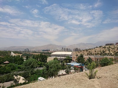 Photos of Milad Tower Dolphin Park