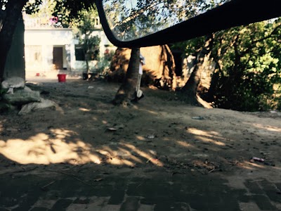 Photos of Mona's PD Bar
