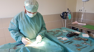 Photo n°22 de Clinique Vétérinaire VPLUS de Saint André de Cubzac - Dr Carraud et Dr Fabre à Saint-André-de-Cubzac (Vétérinaire)