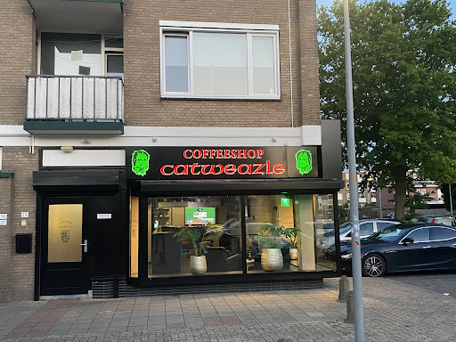 Catweazle