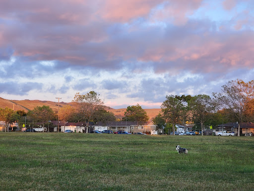 Bidwell Park - Thumbnail
