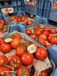 Photo n°18 de L' Essentiel à Capinghem (Grossiste)