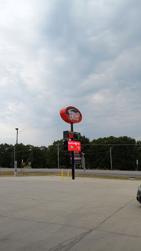 Turtle Stop - Visual