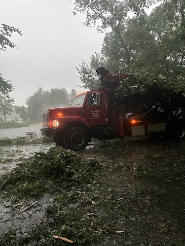 Reiten's Tree Services LLC