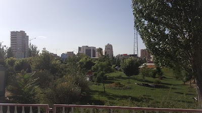 Photos of Shahgoli Park