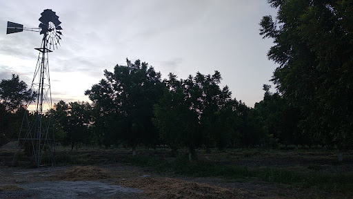Rancho Las Palmas de Eugenia - Thumbnail