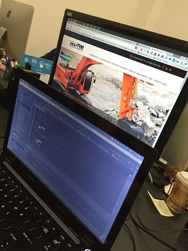 Genotipo » Agencia Digital SEO & SEM